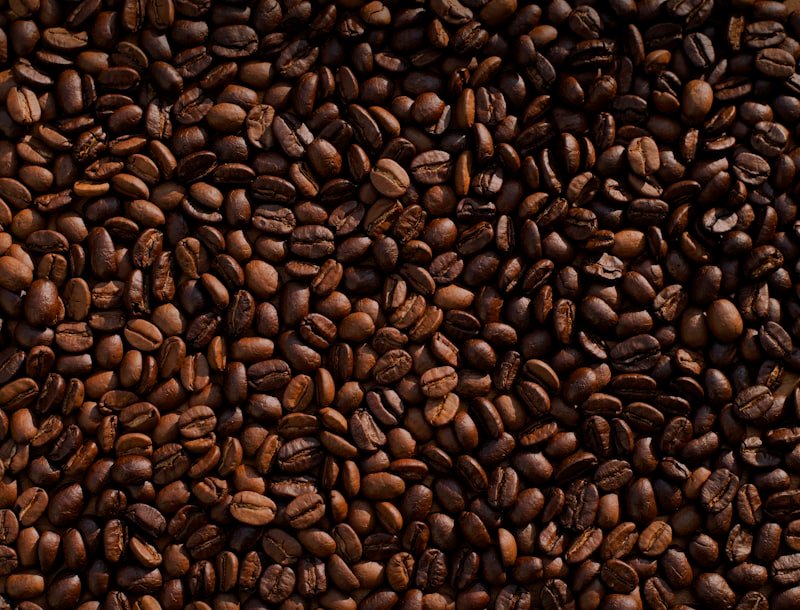 Harbor Oak house blend coffee beans